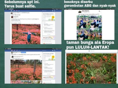 Download Kumpulan Meme Rusaknya Bunga Amalyris ini Bikin Ngakak Guling \u2013 Guling Sob 